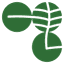 Carbon Linking